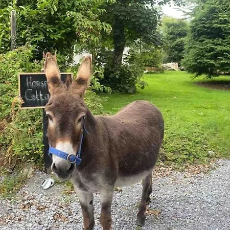 Horseshoe Cottage, Килларни