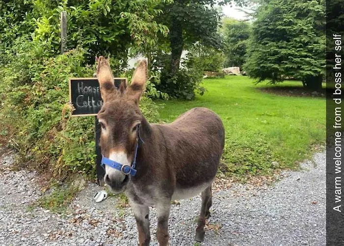 Horseshoe Cottage, Килларни